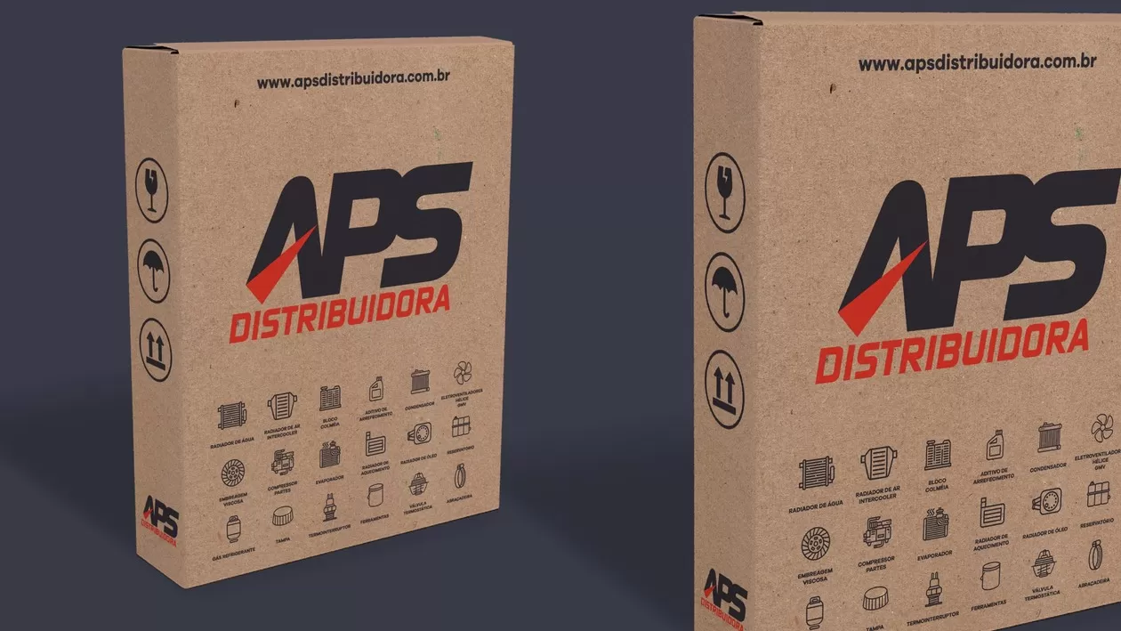 08 - geral - APS Distribuidora